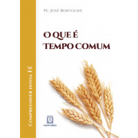 O Que é Tempo Comum