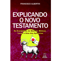 Explicando o Novo Testamento
