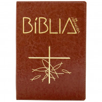Bíblia de Aparecida - Bolso zíper marrom