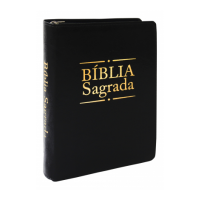 Bíblia Sagrada - Dourada Preta