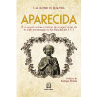 Aparecida: Uma Novela histórica sobre a história da imagem
